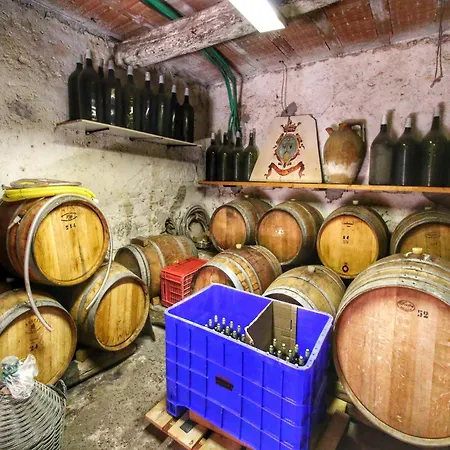 With Pool - Pets Welcome! Ferienhaus Gualdo Cattaneo