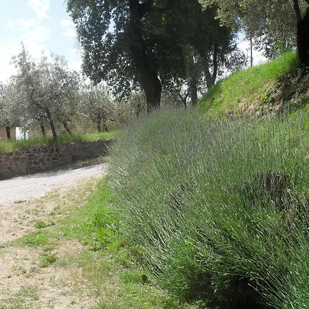 With Pool - Pets Welcome! Tatil Evi Gualdo Cattaneo