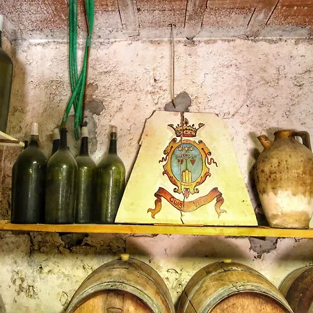 Tatil Evi With Pool - Pets Welcome! *