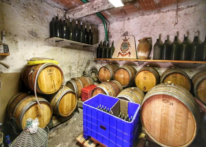 With Pool - Pets Welcome! Casa de Férias Gualdo Cattaneo