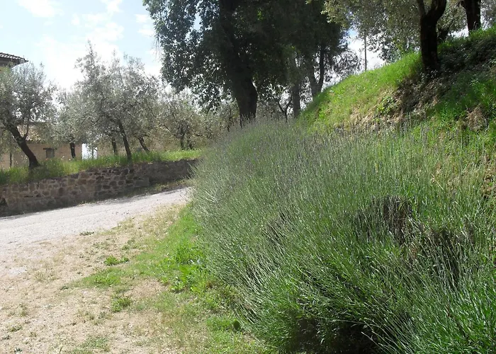 With Pool - Pets Welcome! Casa de Férias Gualdo Cattaneo